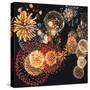 Exploding of Group of Fireworks-null-Stretched Canvas