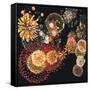 Exploding of Group of Fireworks-null-Framed Stretched Canvas