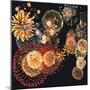 Exploding of Group of Fireworks-null-Mounted Premium Photographic Print