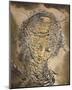 Exploding Raphaelesque Head-Salvador Dali-Mounted Art Print