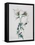 Exploding Thistle, 1999-Rebecca John-Framed Stretched Canvas