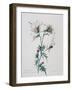 Exploding Thistle, 1999-Rebecca John-Framed Giclee Print