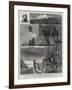 Exploration in the King Country, North Island, New Zealand, III-Joseph Nash-Framed Giclee Print