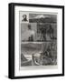 Exploration in the King Country, North Island, New Zealand, III-Joseph Nash-Framed Giclee Print