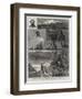 Exploration in the King Country, North Island, New Zealand, III-Joseph Nash-Framed Giclee Print