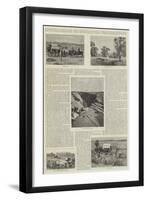 Exploration of the Kalahari Desert-null-Framed Giclee Print