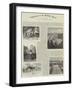 Exploration of the Kalahari Desert-null-Framed Giclee Print