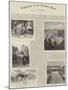 Exploration of the Kalahari Desert-null-Mounted Giclee Print