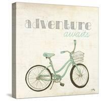 Explore and Adventure II-Elizabeth Medley-Stretched Canvas