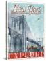 Explore New York-Jace Grey-Stretched Canvas
