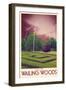 Explore Wailing Woods-null-Framed Premium Giclee Print