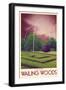 Explore Wailing Woods-null-Framed Premium Giclee Print