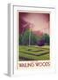 Explore Wailing Woods-null-Framed Premium Giclee Print