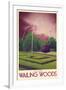 Explore Wailing Woods-null-Framed Premium Giclee Print