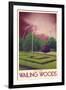 Explore Wailing Woods-null-Framed Premium Giclee Print