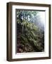 Explore-Kimberly Glover-Framed Giclee Print