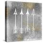 Explorer 1-Kimberly Allen-Stretched Canvas