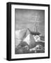 Explorer Ernest Shackleton's Ship "Endurance" Trapped and Slowly Crushed by Ice in Weddell Sea-null-Framed Photographic Print