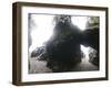 Exploring Sea Caves and Arches at Tsuquadra Point, West Coast Trail, British Columbia, Canada.-Ethan Welty-Framed Photographic Print