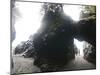 Exploring Sea Caves and Arches at Tsuquadra Point, West Coast Trail, British Columbia, Canada.-Ethan Welty-Mounted Photographic Print