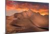 Exploring the desert-Simoon Studio III-Mounted Giclee Print