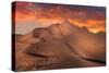 Exploring the desert-Simoon Studio III-Stretched Canvas