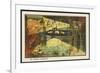 Exploring the Underwater World-Jean Marc Cote-Framed Premium Giclee Print