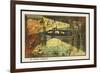 Exploring the Underwater World-Jean Marc Cote-Framed Premium Giclee Print