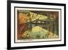 Exploring the Underwater World-Jean Marc Cote-Framed Premium Giclee Print