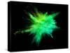Explosion of Coloured Powder on Black Background-Jag_cz-Stretched Canvas