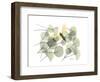 Explosion of Spring-Albert Koetsier-Framed Premium Giclee Print