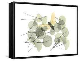 Explosion of Spring-Albert Koetsier-Framed Stretched Canvas