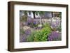 Explosion of Springtime Color, Portland, Oregon, USA-Jaynes Gallery-Framed Photographic Print