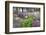 Explosion of Springtime Color, Portland, Oregon, USA-Jaynes Gallery-Framed Photographic Print