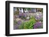 Explosion of Springtime Color, Portland, Oregon, USA-Jaynes Gallery-Framed Photographic Print