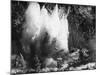 Explosion on the Waikato River-null-Mounted Photographic Print