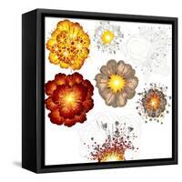 Explosions-Set of Various Illustrations-PILart-Framed Stretched Canvas