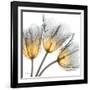 Explosive Growth-Albert Koetsier-Framed Art Print