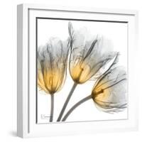 Explosive Growth-Albert Koetsier-Framed Art Print