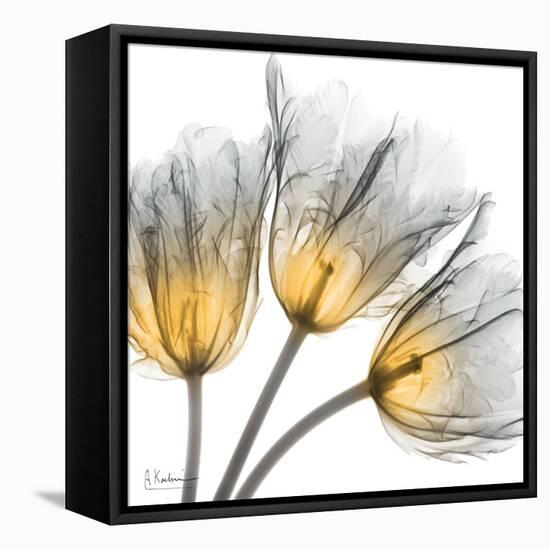 Explosive Growth-Albert Koetsier-Framed Stretched Canvas