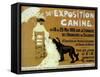 Exposition Canine-null-Framed Stretched Canvas