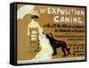 Exposition Canine-null-Framed Stretched Canvas