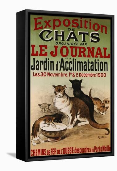 Exposition de Chats, 1900-Roedel-Framed Stretched Canvas