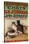 Exposition de Chats, 1900-Roedel-Stretched Canvas