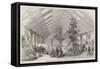 Exposition of the Society of Horticulture, in the Champs Elysees, at Paris-null-Framed Stretched Canvas