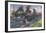 Express Engines-Terence Cuneo-Framed Premium Giclee Print