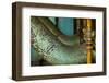 Express Lines-Dana Styber-Framed Photographic Print