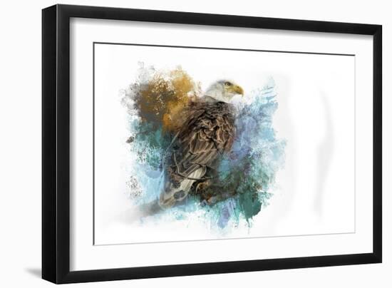 Expressions Bald Eagle-Jai Johnson-Framed Giclee Print