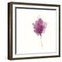 Expressive Blooms I-June Vess-Framed Art Print