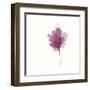 Expressive Blooms I-June Vess-Framed Art Print